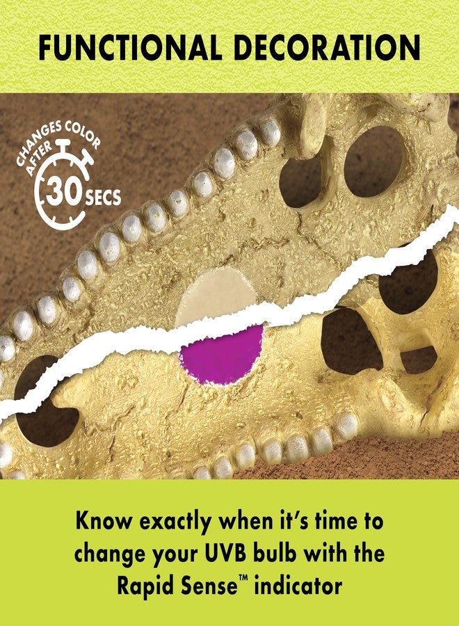 زيلا ديكور حوض الزواحف Zilla Rapid Sense UV Detecting Pet Reptile Terrarium، يكشف مستويات الأشعة فوق البنفسجية UVB، جمجمة تمساح، متوسط الحجم - Image 5